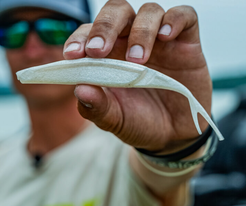 Hot Picks in Bait & Tackle: What’s Really Catching Fish Right Now