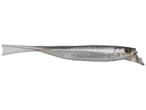 Jackall Drift Fry 4'' Silver Shad 5pk