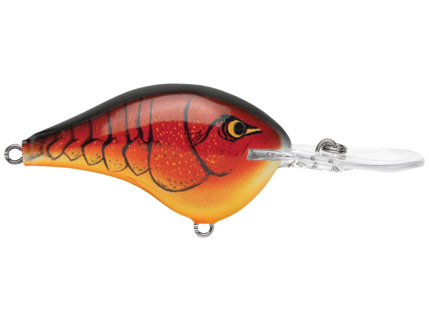 Rapala DT10 Series Crankbaits