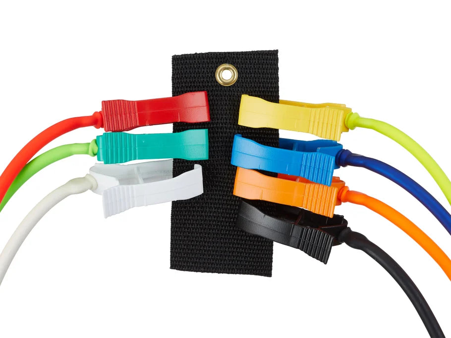 Accu Cull E-Con Tags Culling System